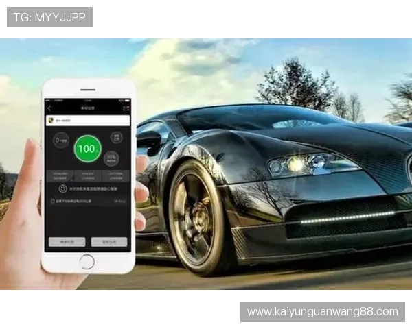 开云官方app平台安全保障措施详解，确保玩家个人信息与游戏资产安全无忧